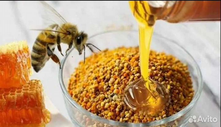 Пыльца пчелиная
