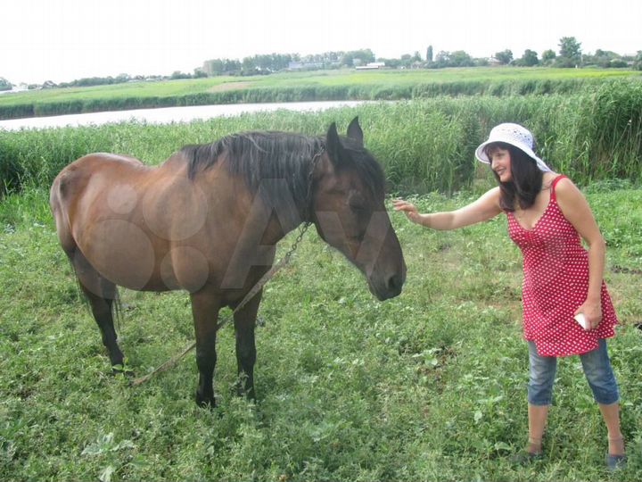 Участок 8 сот. (ИЖС)