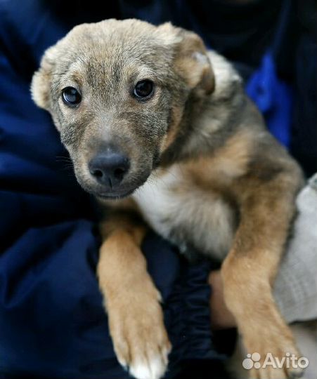 Мы одна команда