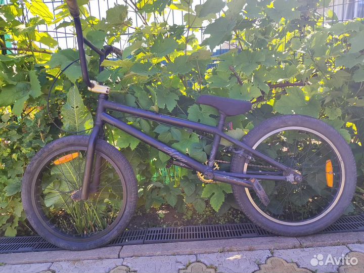 Bmx stern piligrim 20