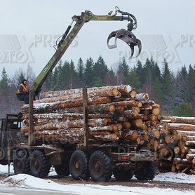 Продам аренду лесного участка