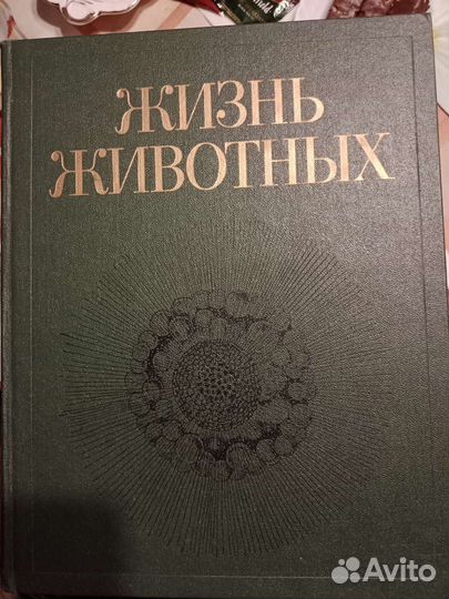 Мир животных