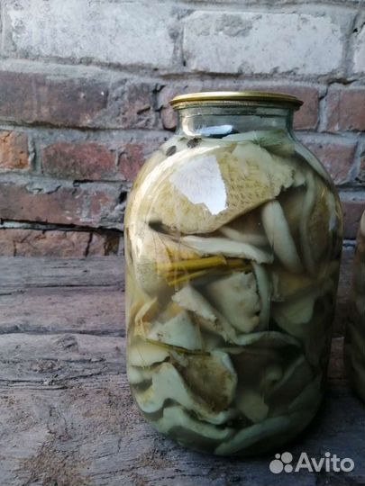 Белые грузди