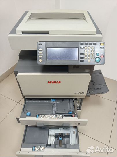 Мфу цветной develop ineo+250