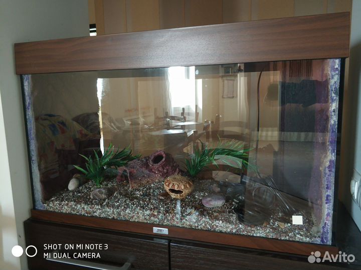 Аквариум