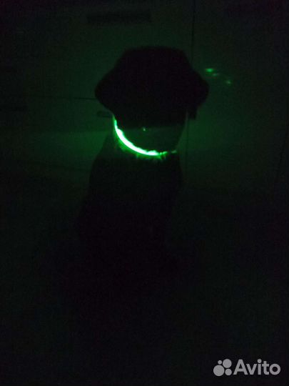 Светящийся led ошейник для собак