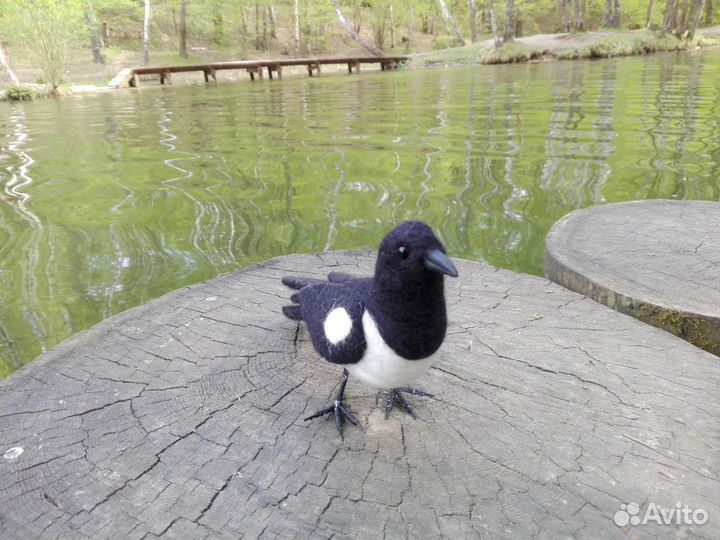 Войлочная сорока