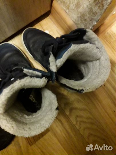 Сапоги Экко