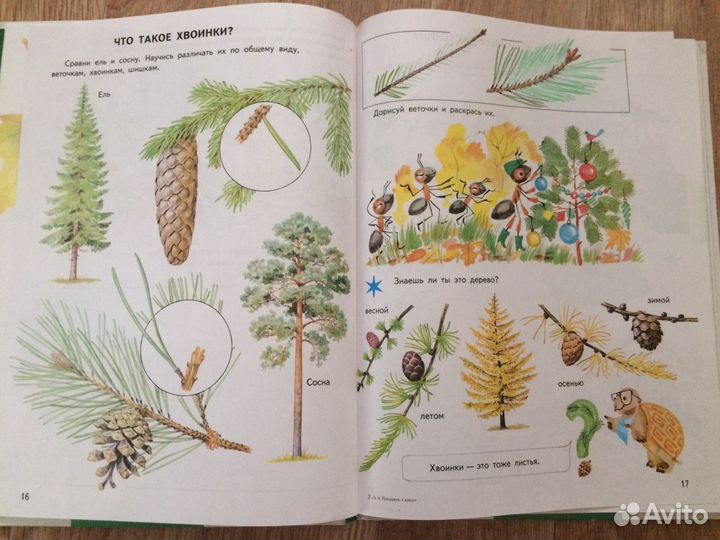 Познавательная книга для детей «Мир вокруг вас»