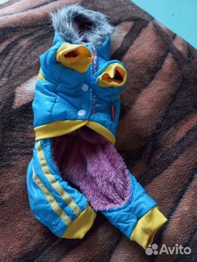 Комбинезон для маленькой собаки зима