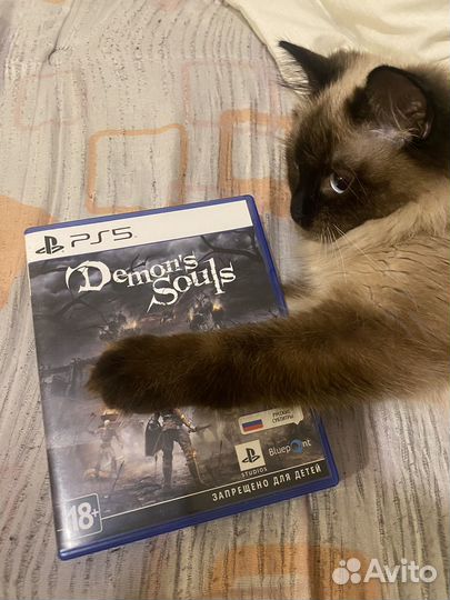 Demons souls ps5