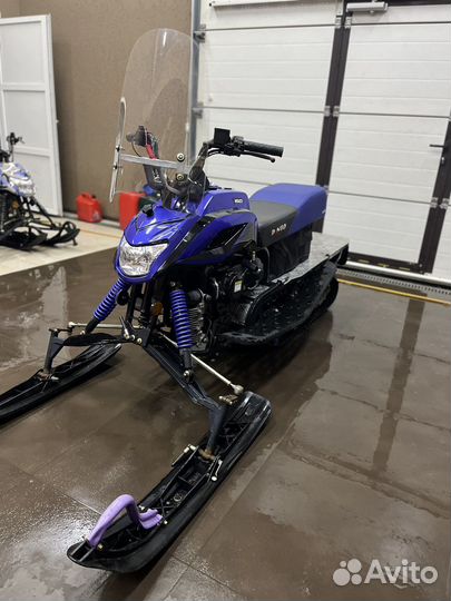 Dingo T150