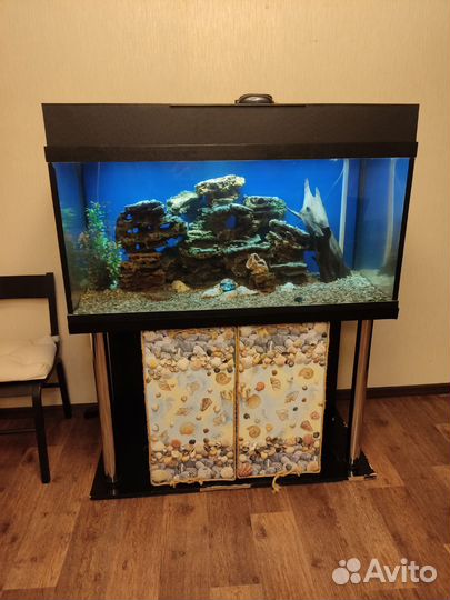 Аквариум