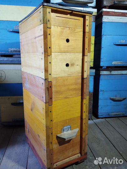 Ульи Дадан 12 рамочные с магазином