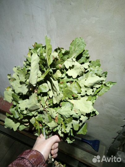 Березовые,липовые и пихтовые веники продаю