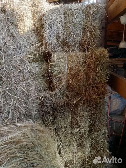Сено в тюках, солома