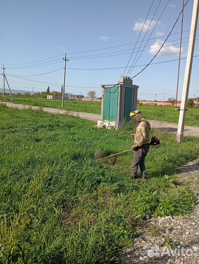 Покос травы