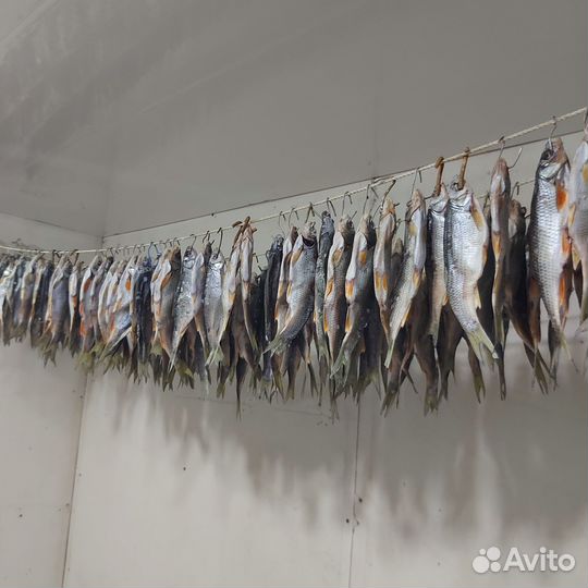 Вяленая рыба чебак