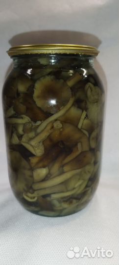 Грибы маринованные