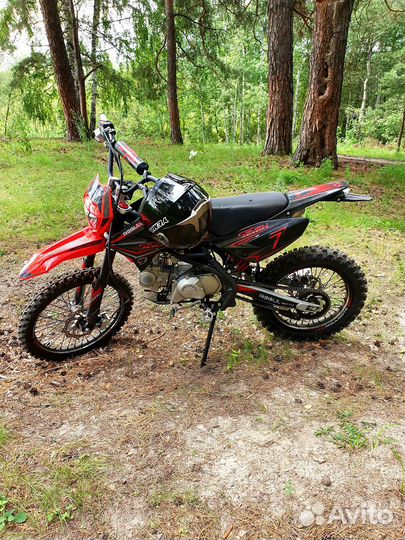 Питбайк Regulmoto seven medalist PRO 19/16