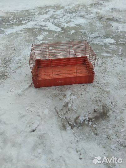 Клетка для грызунов бу