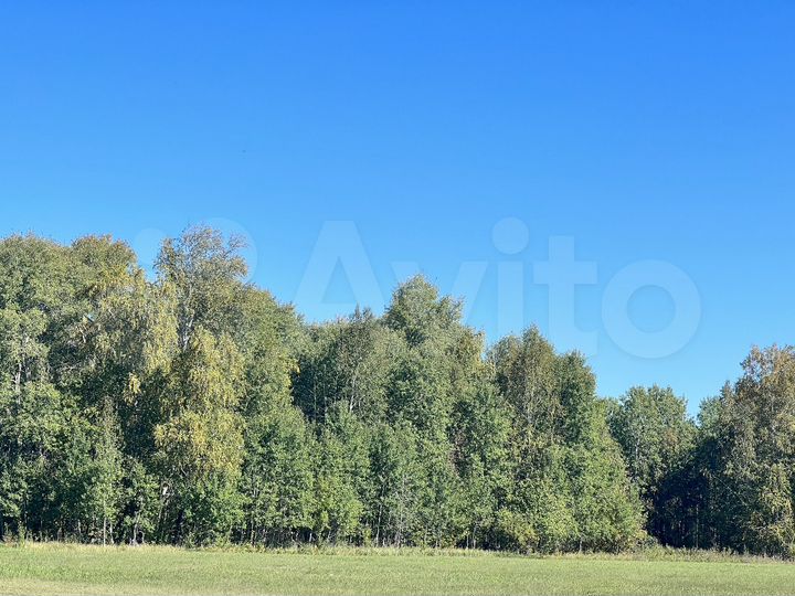 Участок 126 га (СНТ, ДНП)