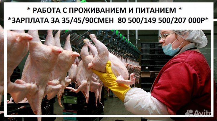 Фасовщик (сортировщик) Вахта г.Владимир Птицефабри