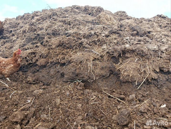 Чернозем перегной