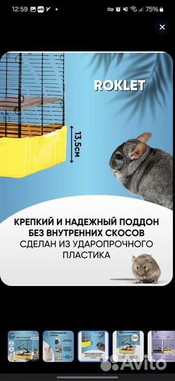 Клетка