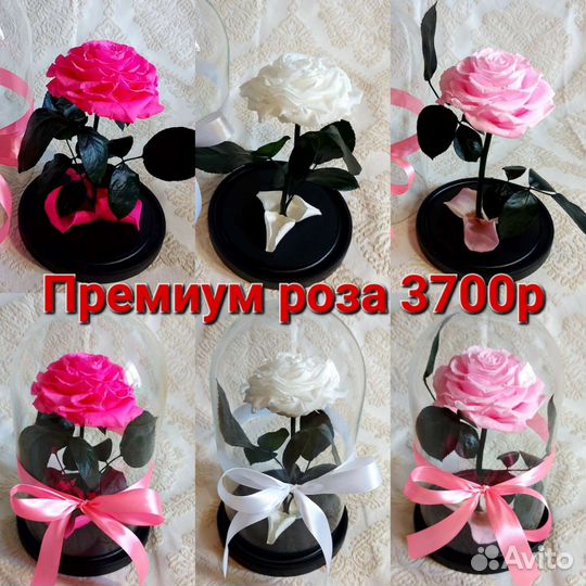 Живая роза в колбе