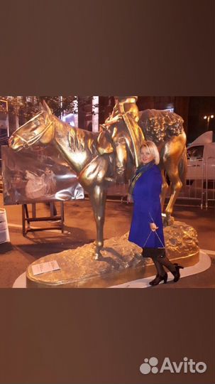 Семейный судебный юрист. гражданские дела