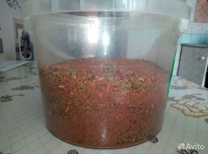 Карповые бойлы