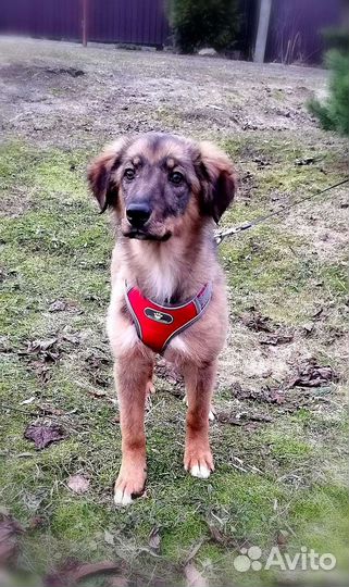 Три девочки 4 месяца