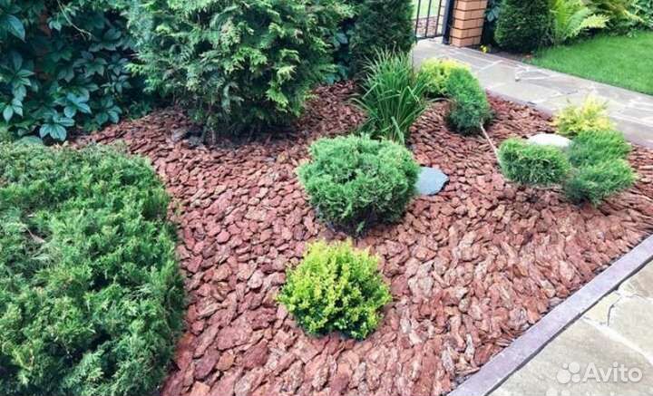 Щепа.Ольховая, берёза, тополь,липа