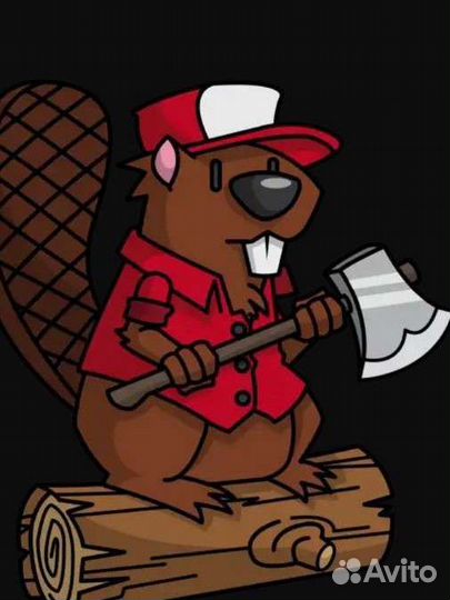 Спил деревьев