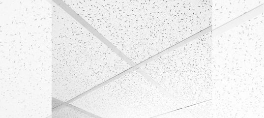 Armstrong dune supreme tegular 15. плита к подвесному потолку 600х600х22 мм rockfon blanka х (10 шт. плита потолочная армстронг 600*600*12 мм. плита к подвесному потолку 600х600х12. плита к подвесному потолку 600х600х12 мм armstrong.