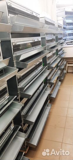 Перепела Яично-мясные породы