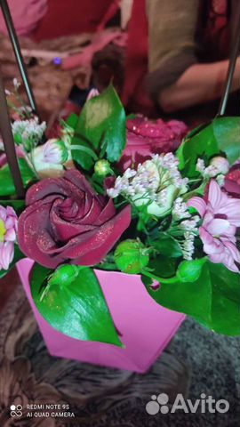 Сиделка за пожилыми Помощница по хозяйству