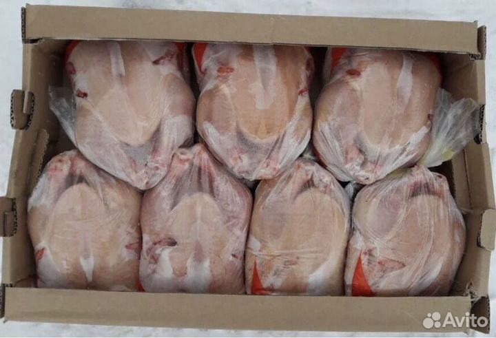 Мясо домашней курицы зерновой откорм