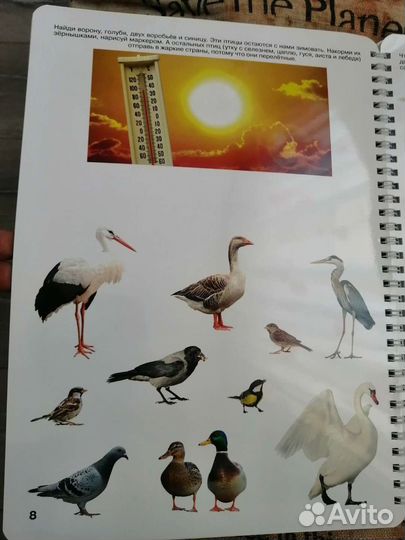 Пособие Юлии Фишер Ознакомление с природой 2-3 г