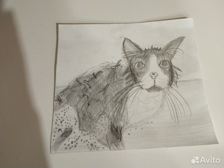 Рисую животных на заказ