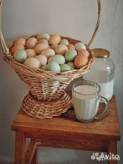 Молочные продукты, яйцо куриное