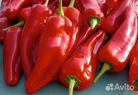 Семена перца каппи