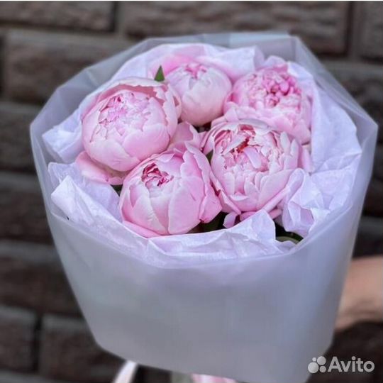 Пионы букет из 5 шт