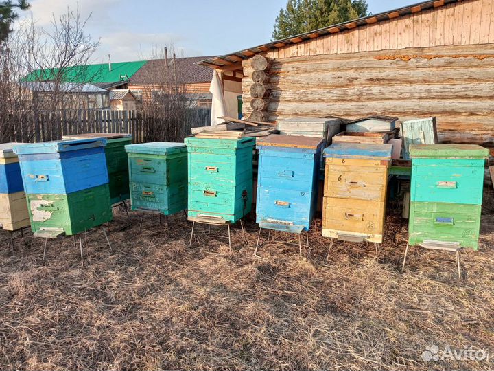 Б/у улья и рамки для пчел