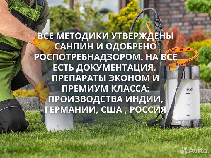 Дератизация. Уничтожение крыс, мышей