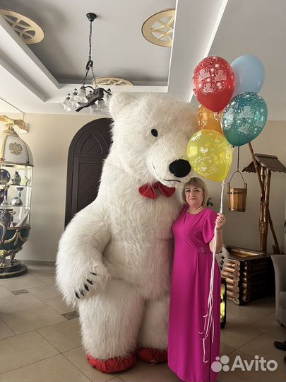 Поздравление от белого мишки 3м