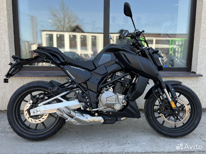 Regulmoto Alien Monster 300