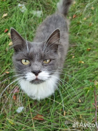 От сердца к сердцу