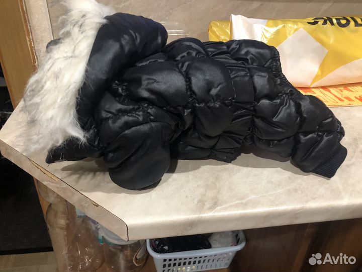 Одежда для маленьких собак